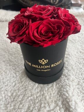- Red Preserved Rose Box